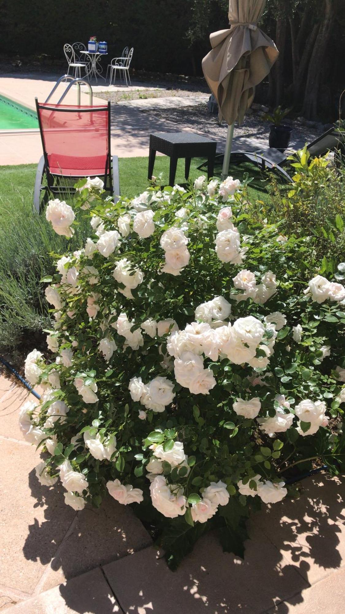 Le Patio Fleuri Ξενοδοχείο Lorgues Εξωτερικό φωτογραφία