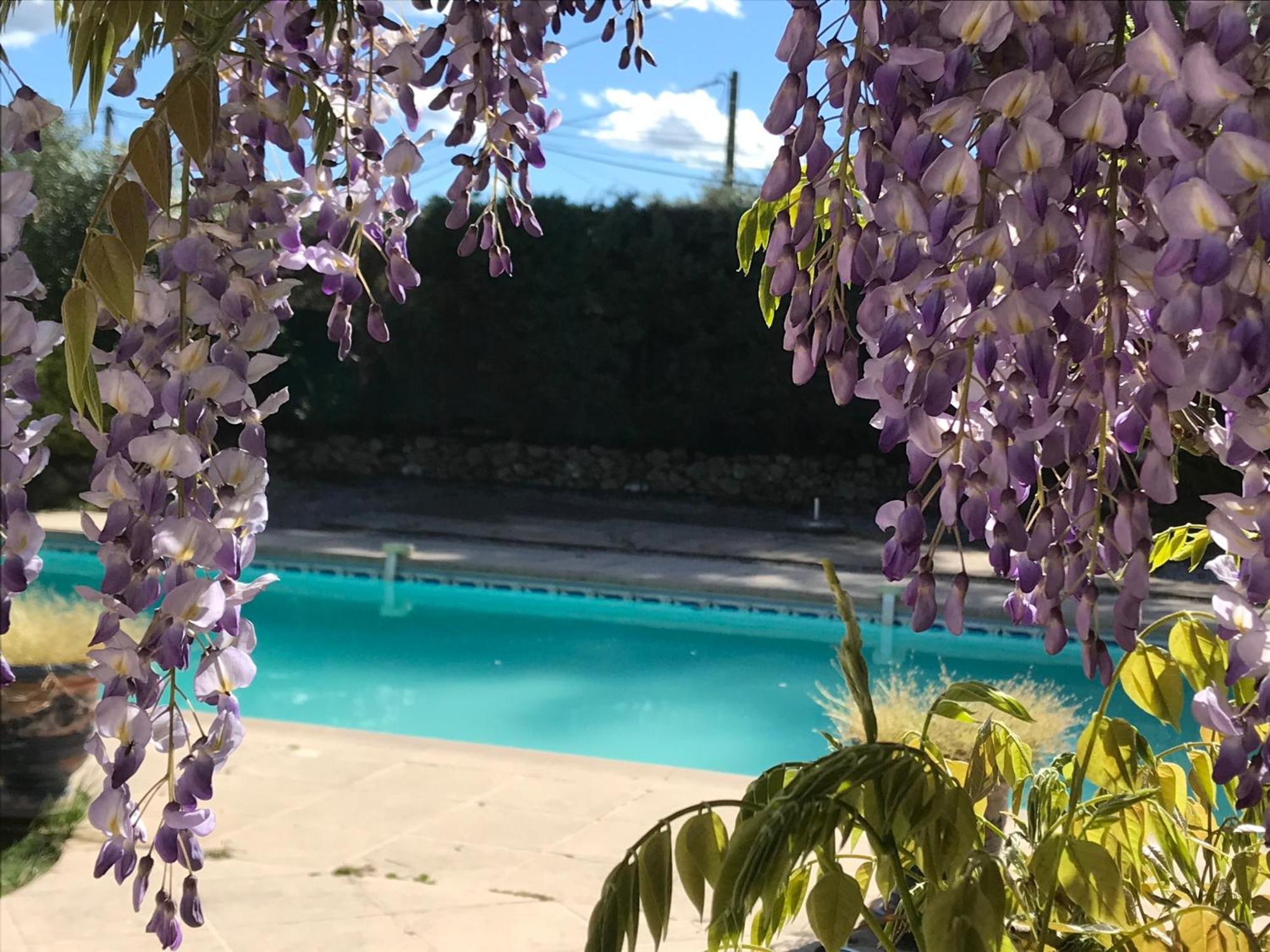 Le Patio Fleuri Ξενοδοχείο Lorgues Εξωτερικό φωτογραφία
