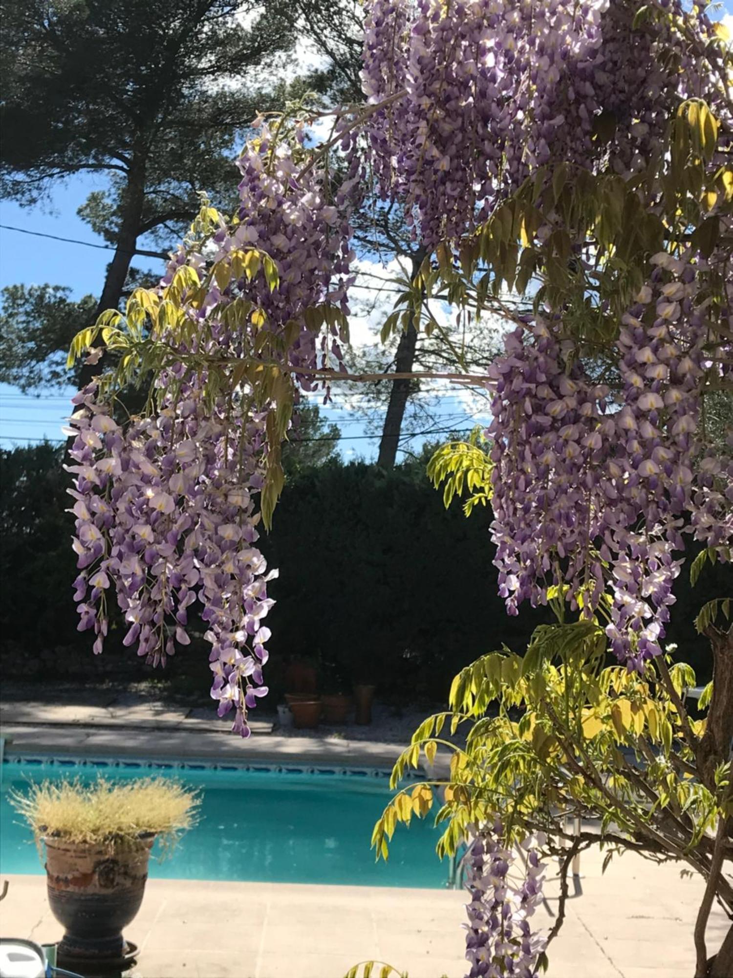 Le Patio Fleuri Ξενοδοχείο Lorgues Εξωτερικό φωτογραφία